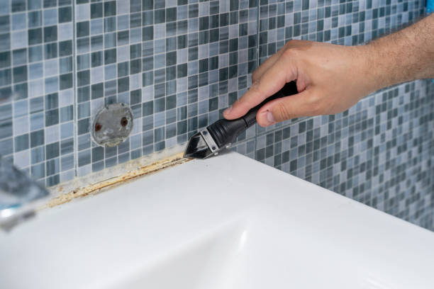 Office Mold Removal Services in Inkster, MI